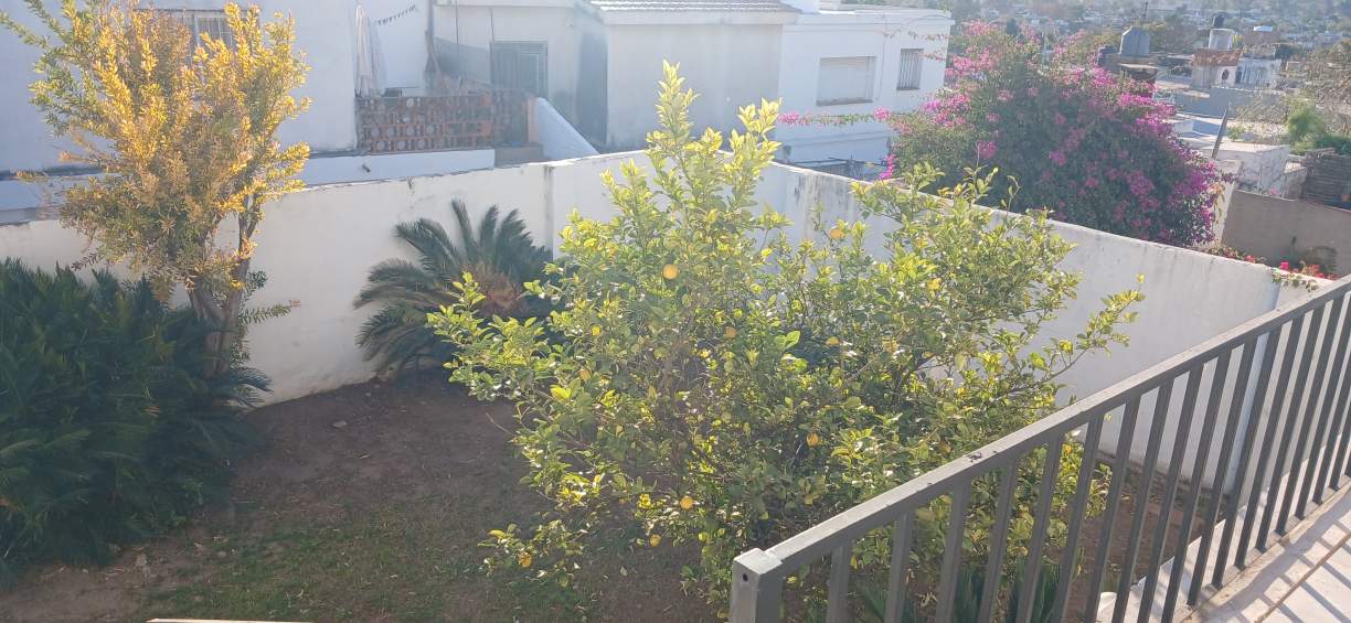 UNICA EN PARQUE SAN VICENTE