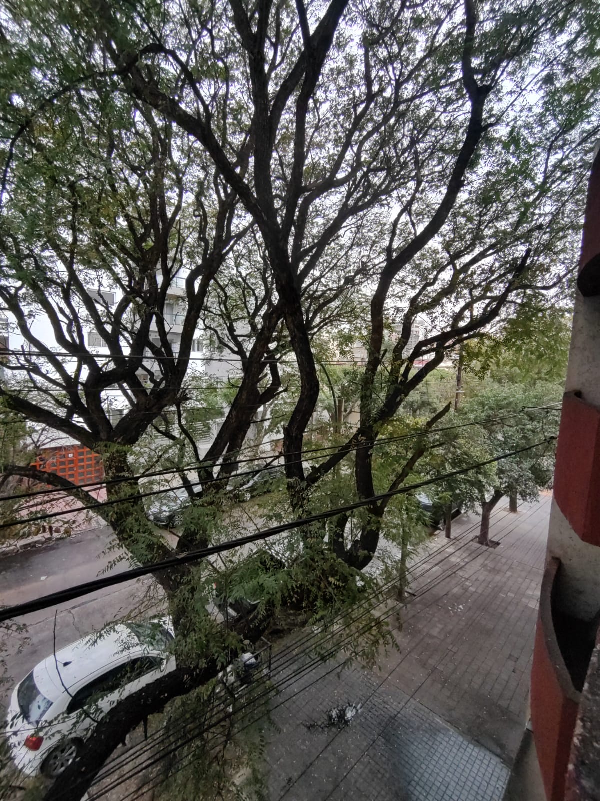 Departamento en Venta  Barrio Cofico