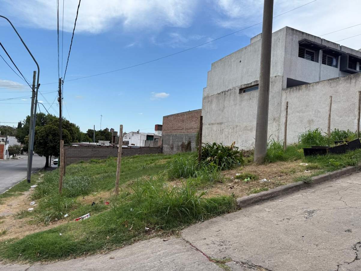 Terreno disponible en Calle Elpidio Gonzalez - Bella Vista