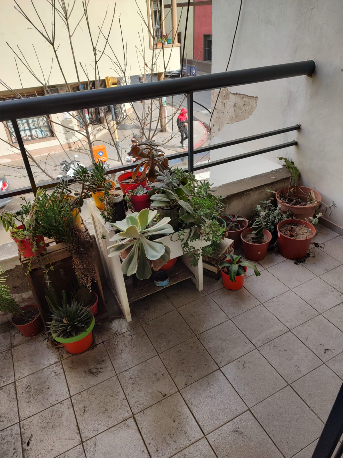 DEPARTAMENTO EXTERNO MUY LUMINOSO B ALBERDI