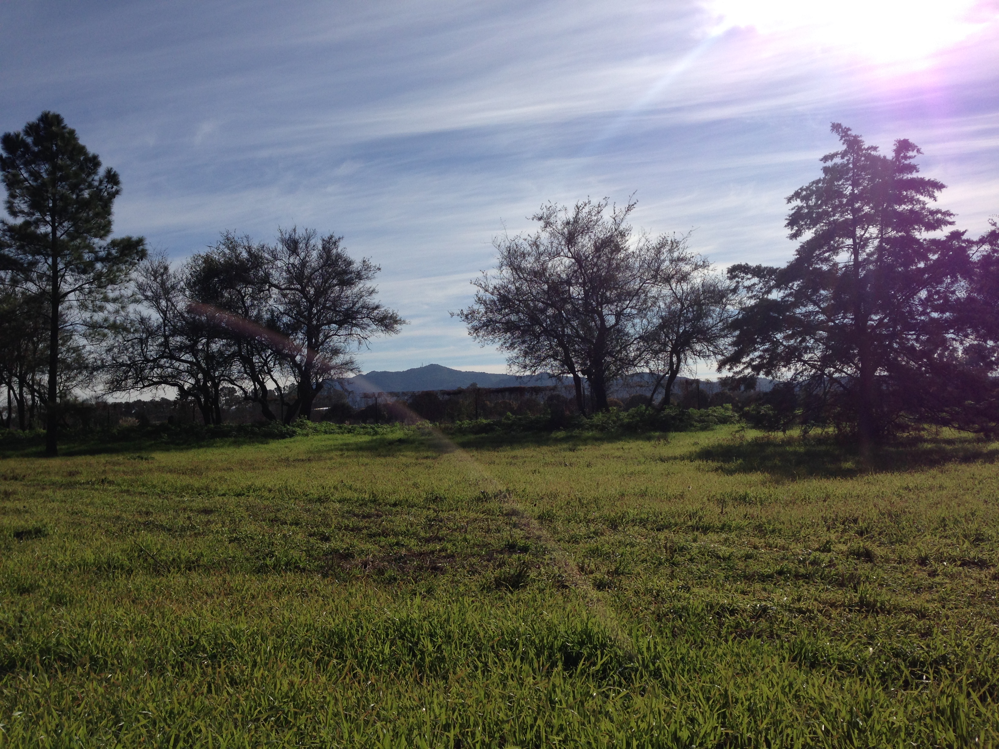 LOTE en Zona ALTA y Plana, Listo para Construir !!   ZONA CONSOLIDADA!!