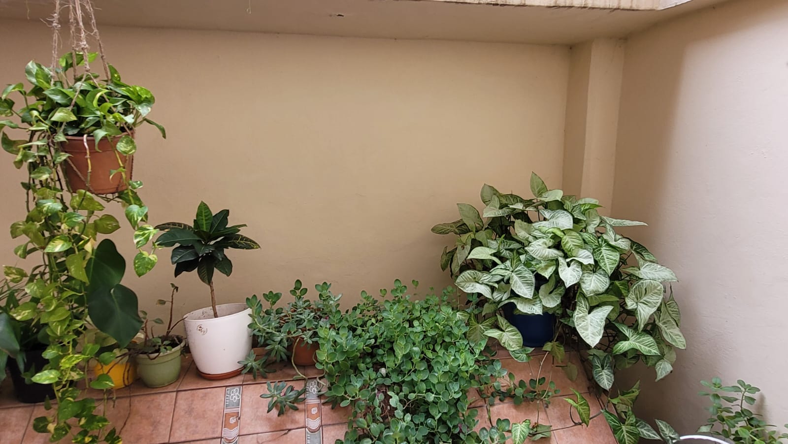 Departamento Amoblado en Alquiler Temporario   Un Dormitorio Patio  Centro de Córdoba
