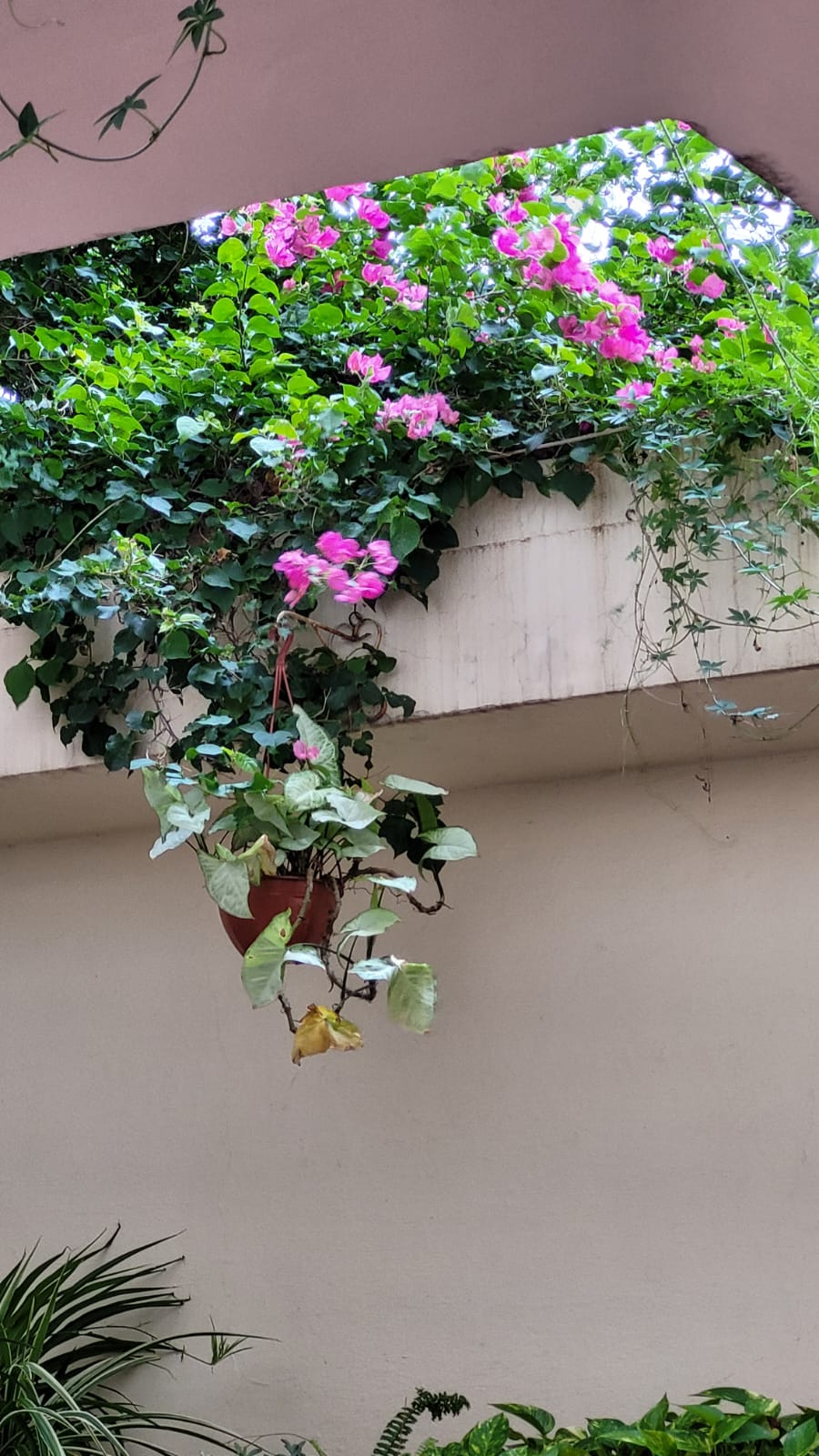 Departamento Amoblado en Alquiler Temporario   Un Dormitorio Patio  Centro de Córdoba