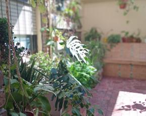 Departamento Amoblado en Alquiler Temporario   Un Dormitorio Patio  Centro de Córdoba