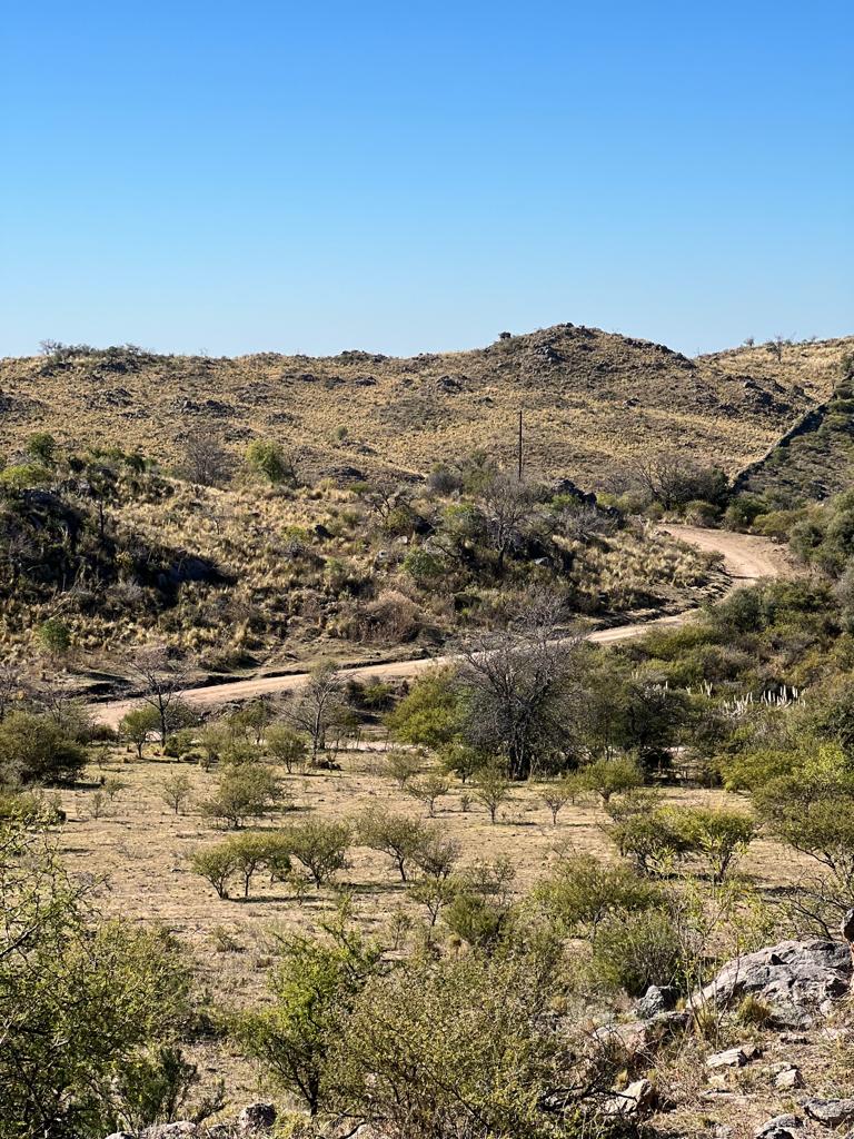 VENTA DE TERRENO DE 57 HECTAREAS EN ASCOCHINGA