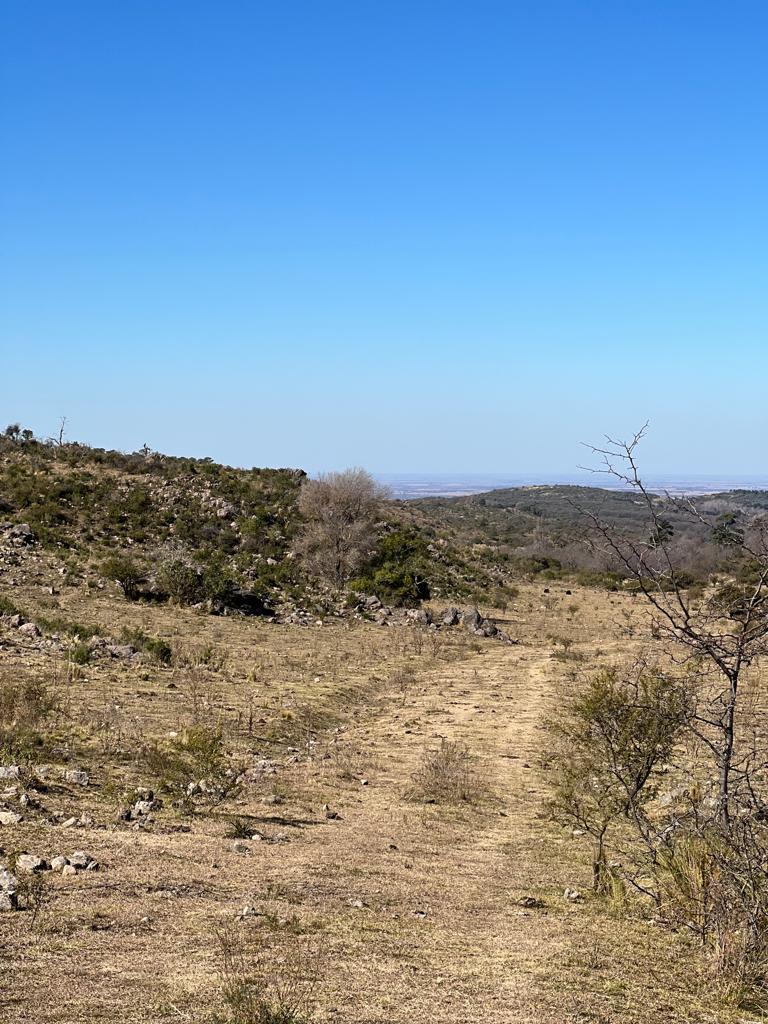 VENTA DE TERRENO DE 57 HECTAREAS EN ASCOCHINGA