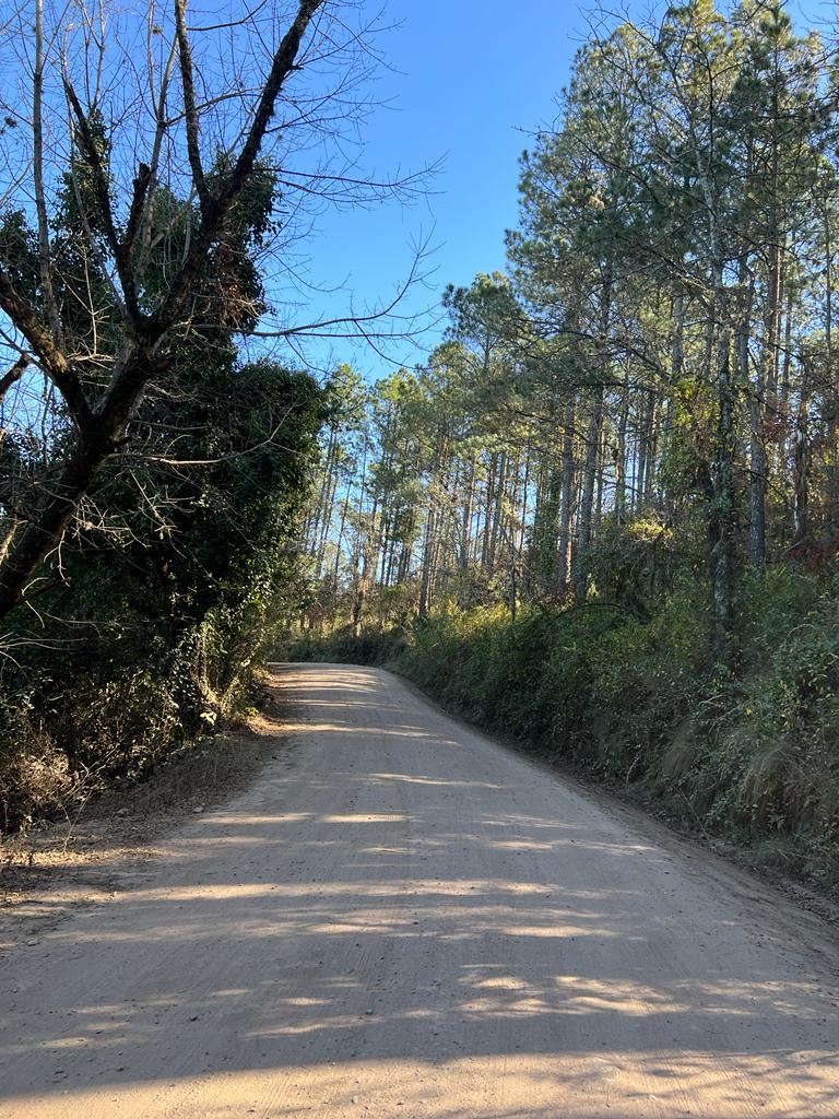 VENTA DE TERRENO DE 57 HECTAREAS EN ASCOCHINGA