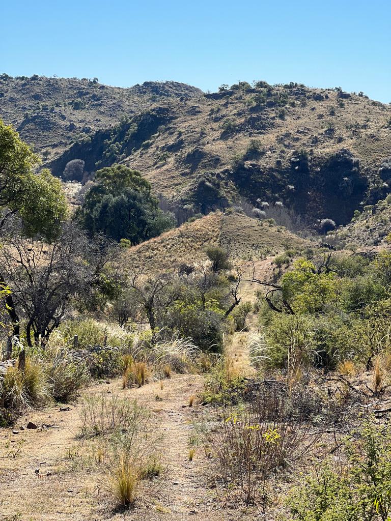 VENTA DE TERRENO DE 57 HECTAREAS EN ASCOCHINGA