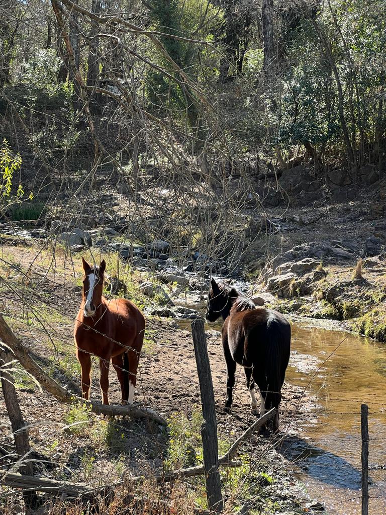 VENTA DE TERRENO DE 57 HECTAREAS EN ASCOCHINGA