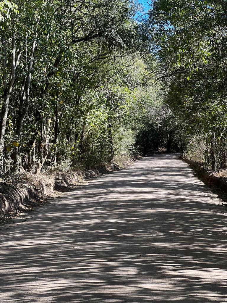 VENTA DE TERRENO DE 57 HECTAREAS EN ASCOCHINGA