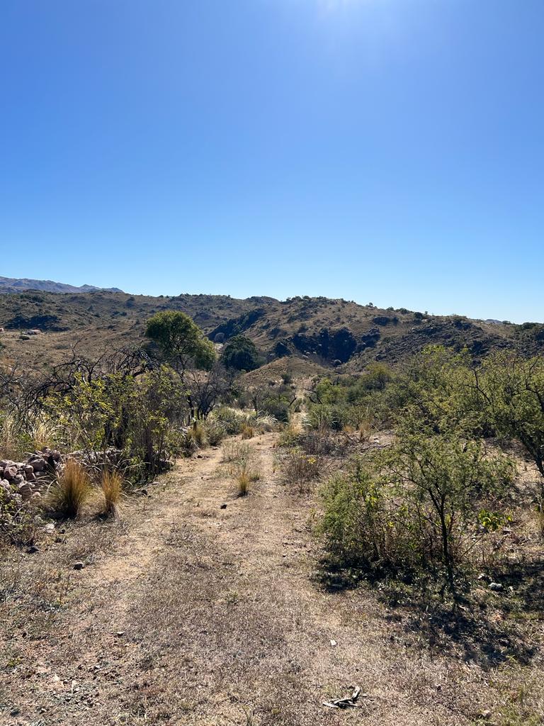 VENTA DE TERRENO DE 57 HECTAREAS EN ASCOCHINGA