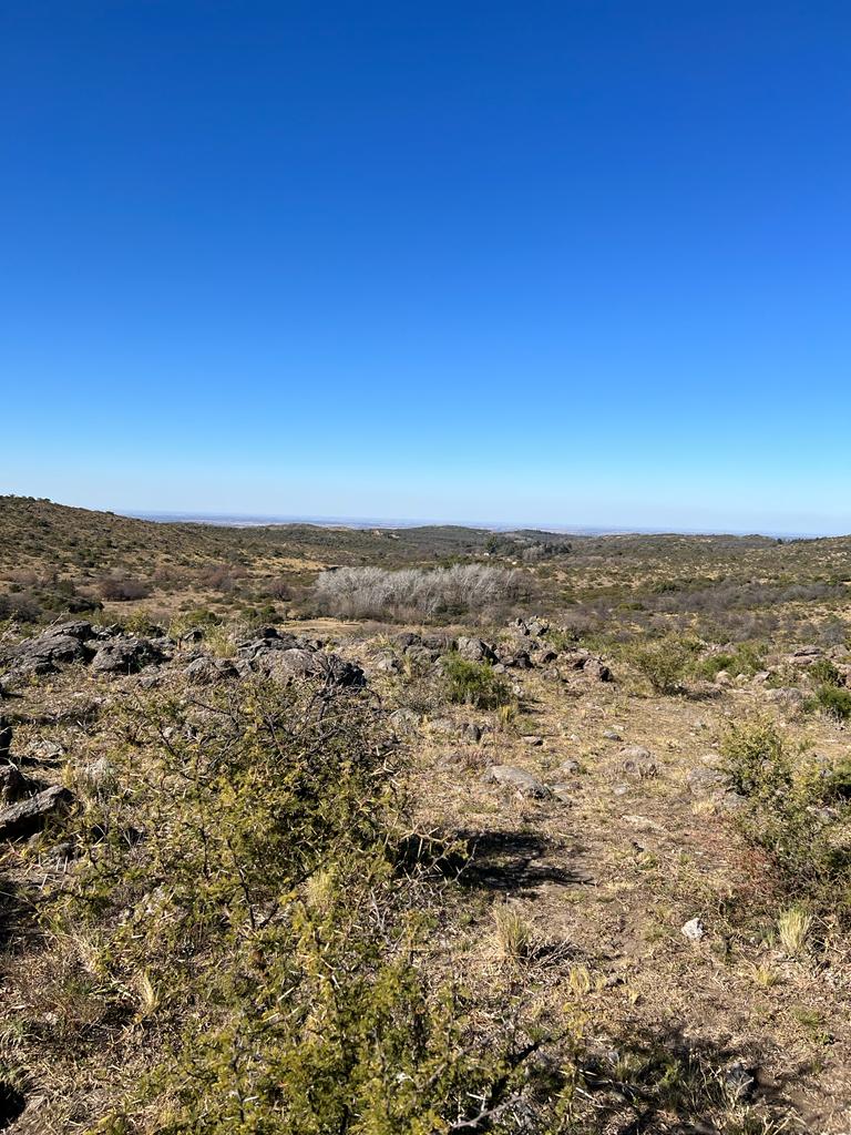 VENTA DE TERRENO DE 57 HECTAREAS EN ASCOCHINGA