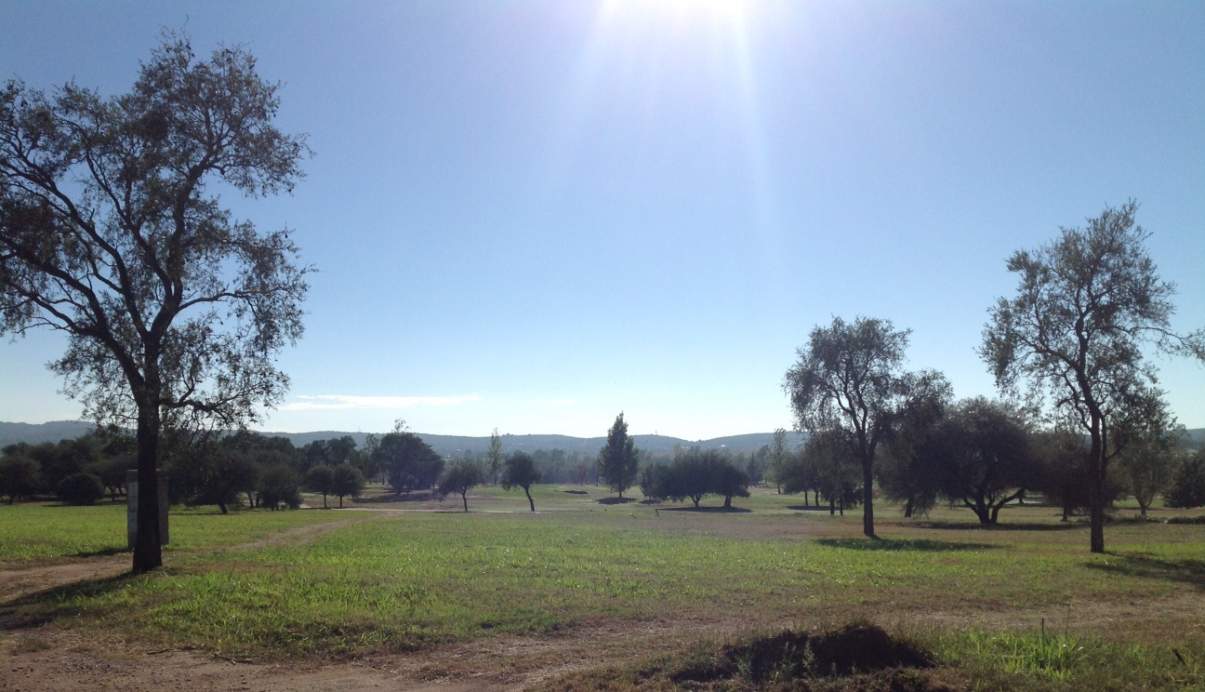 Vivi el Verde!! Lote 800m2, Lote CON VISTAS!!  Listo para construir. Country Valle del Golf