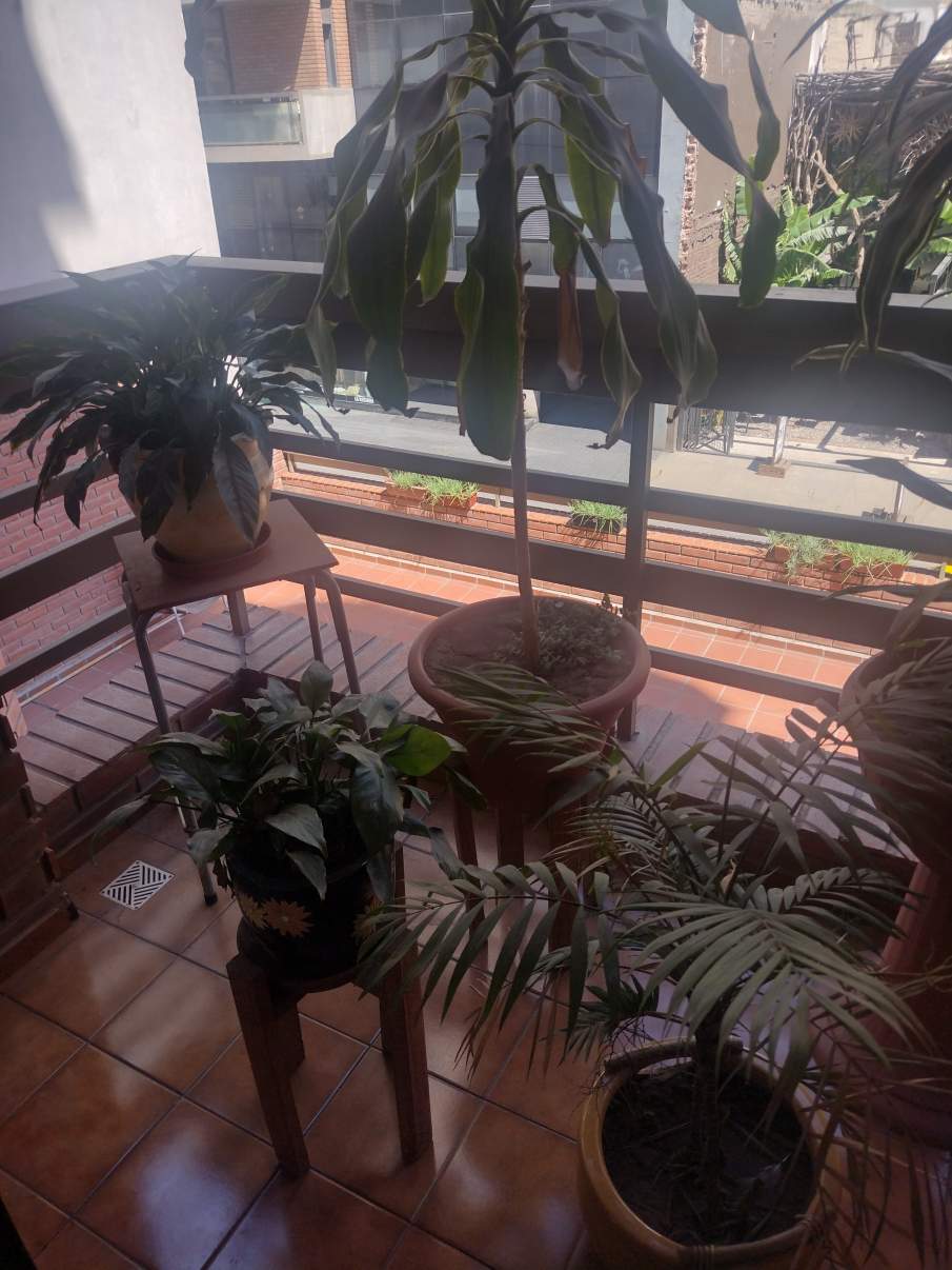 Imperdible oportunidad en venta en Nueva Córdoba