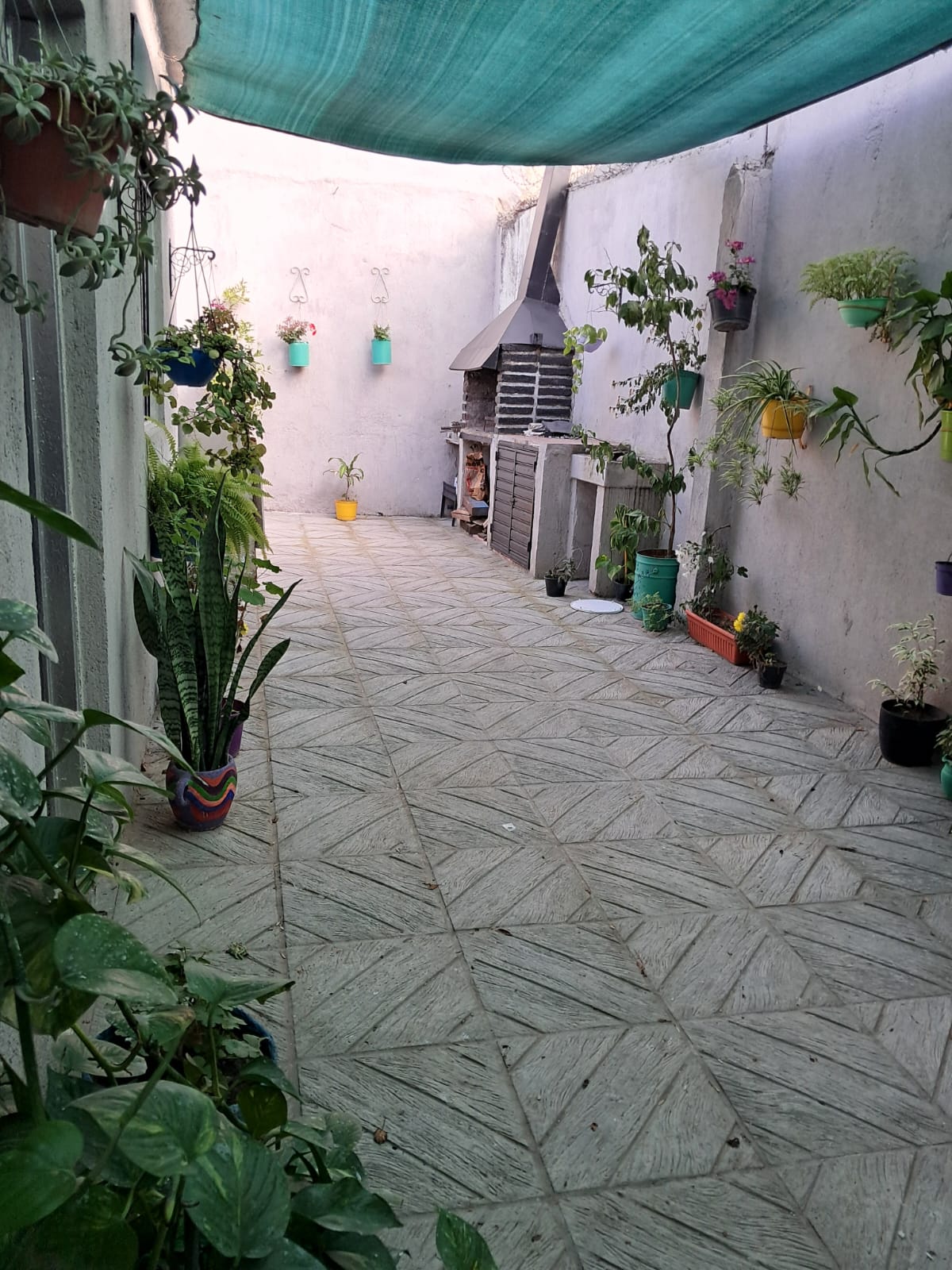 Venta casa y dos deptos BLos Olmos