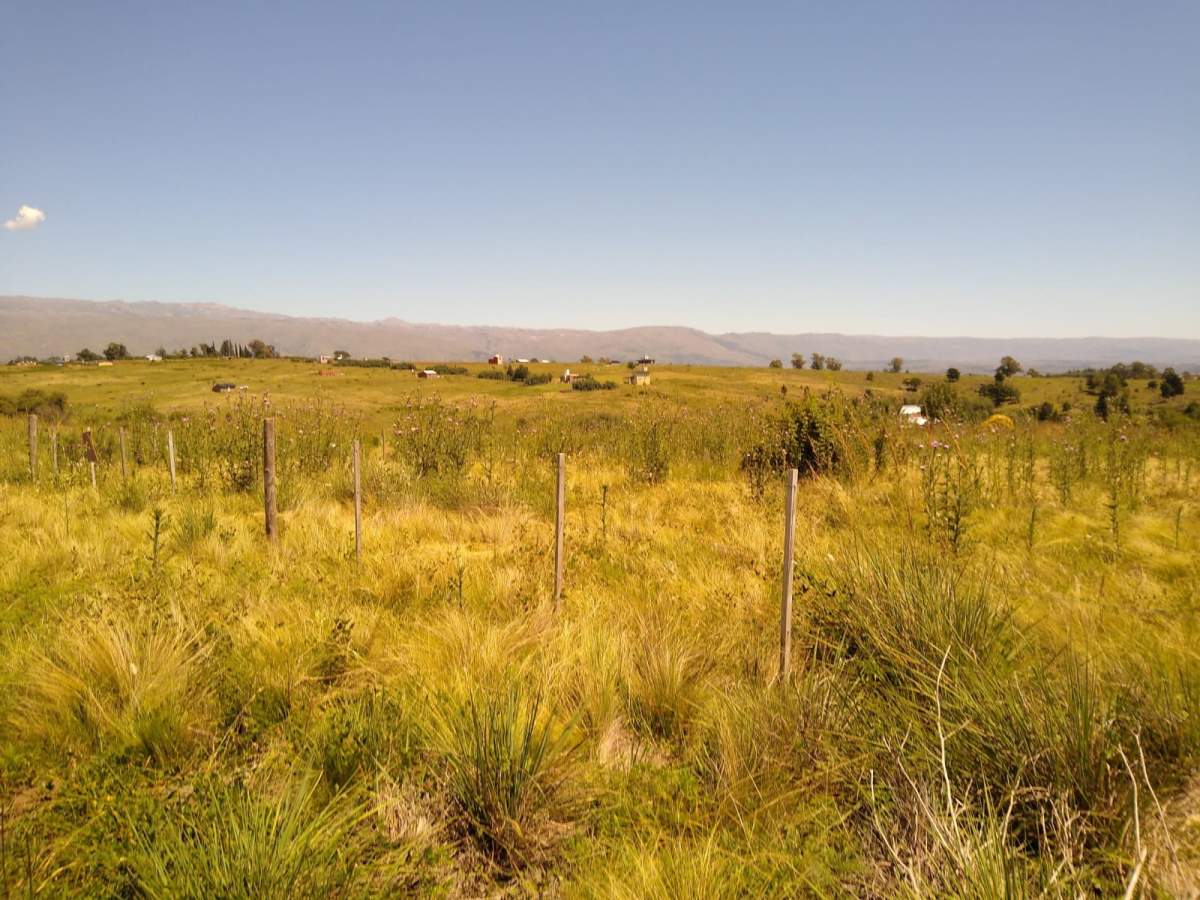 SE VENDE LOTE DE 1350 MTS2 EN VILLA YACANTO