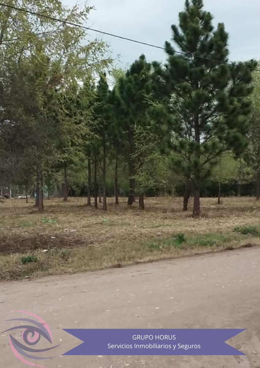 VENTA lote Anisacate