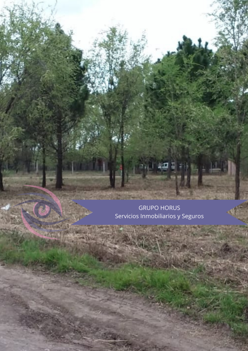 VENTA lote Anisacate