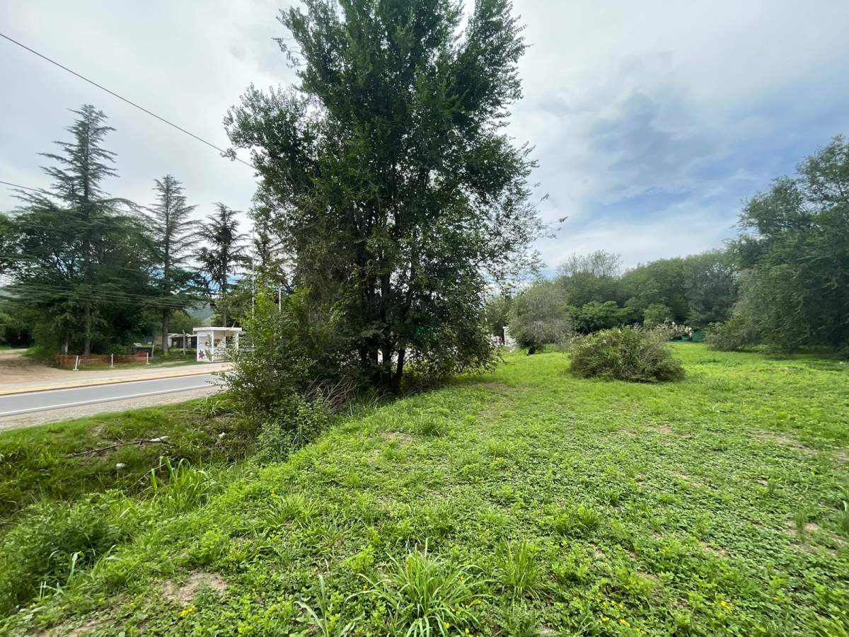 LOTE EN VENTA SOBRE LA RUTA DE SAN ROQUE, CORDOBA.