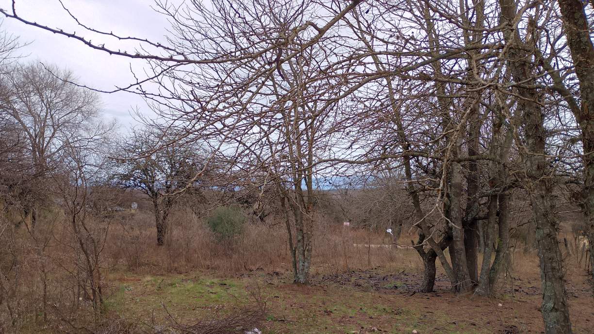 ¡ESCRITURA INMEDIATA! GRAN LOTE DE 1031M EN ESQUINA  A PASOS del RÍO LOS SAUCES