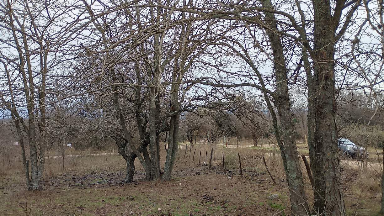 ¡ESCRITURA INMEDIATA! GRAN LOTE DE 1031M EN ESQUINA  A PASOS del RÍO LOS SAUCES