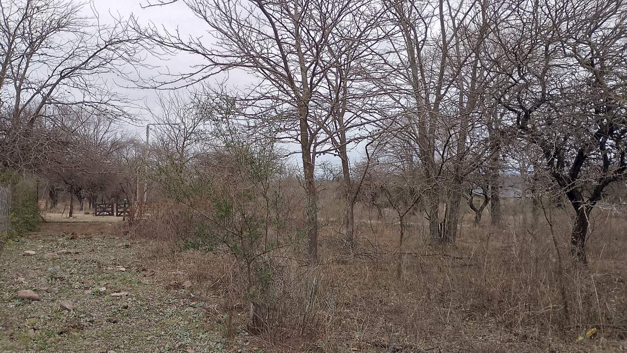 ¡ESCRITURA INMEDIATA! GRAN LOTE DE 1031M EN ESQUINA  A PASOS del RÍO LOS SAUCES