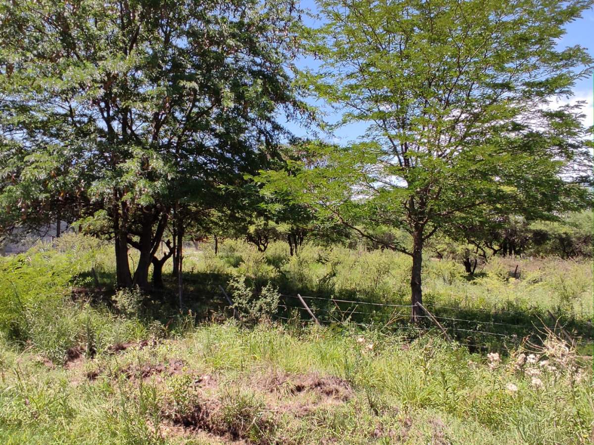 ¡ESCRITURA INMEDIATA! GRAN LOTE DE 1031M EN ESQUINA  A PASOS del RÍO LOS SAUCES