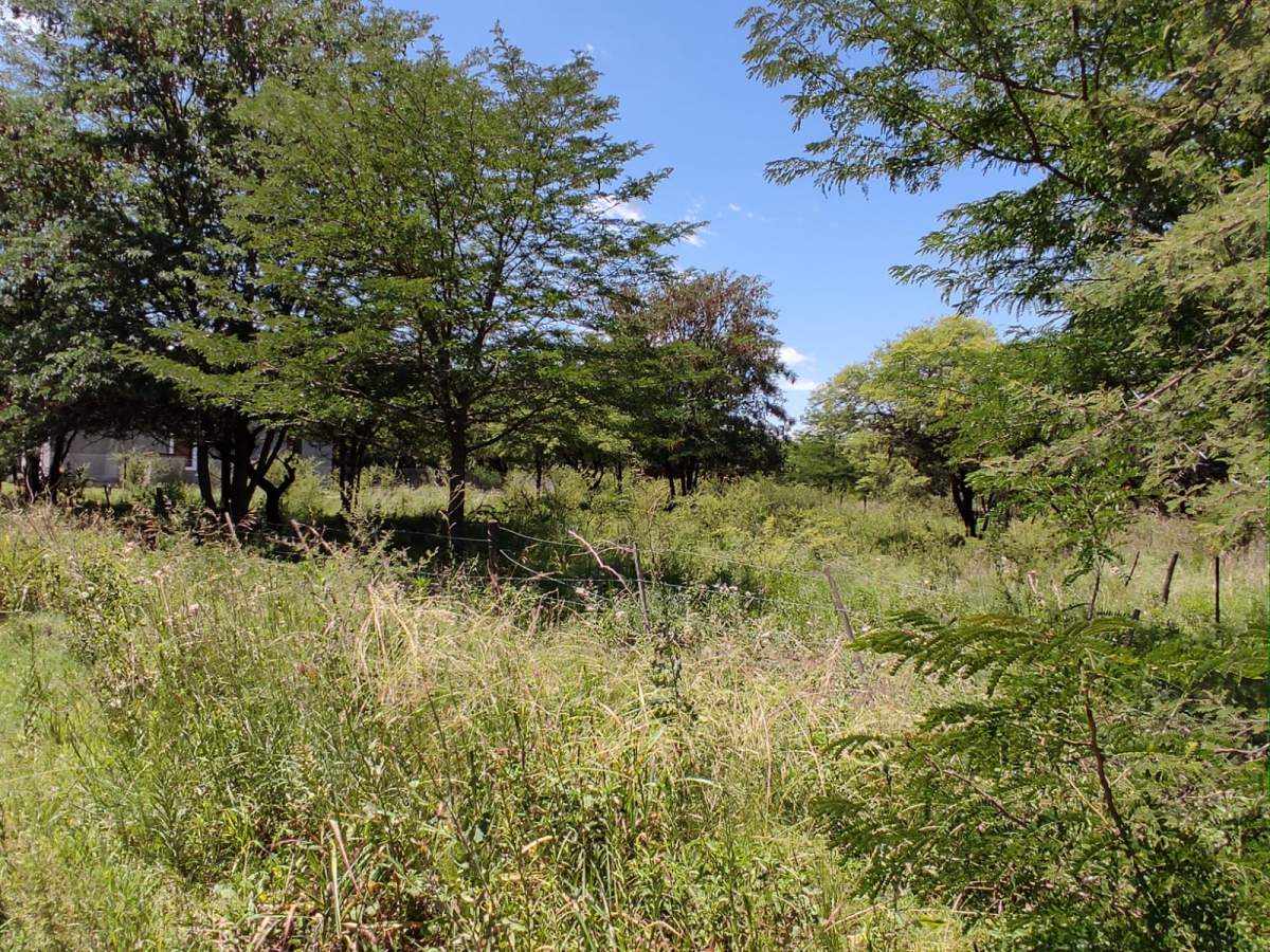 ¡ESCRITURA INMEDIATA! GRAN LOTE DE 1031M EN ESQUINA  A PASOS del RÍO LOS SAUCES