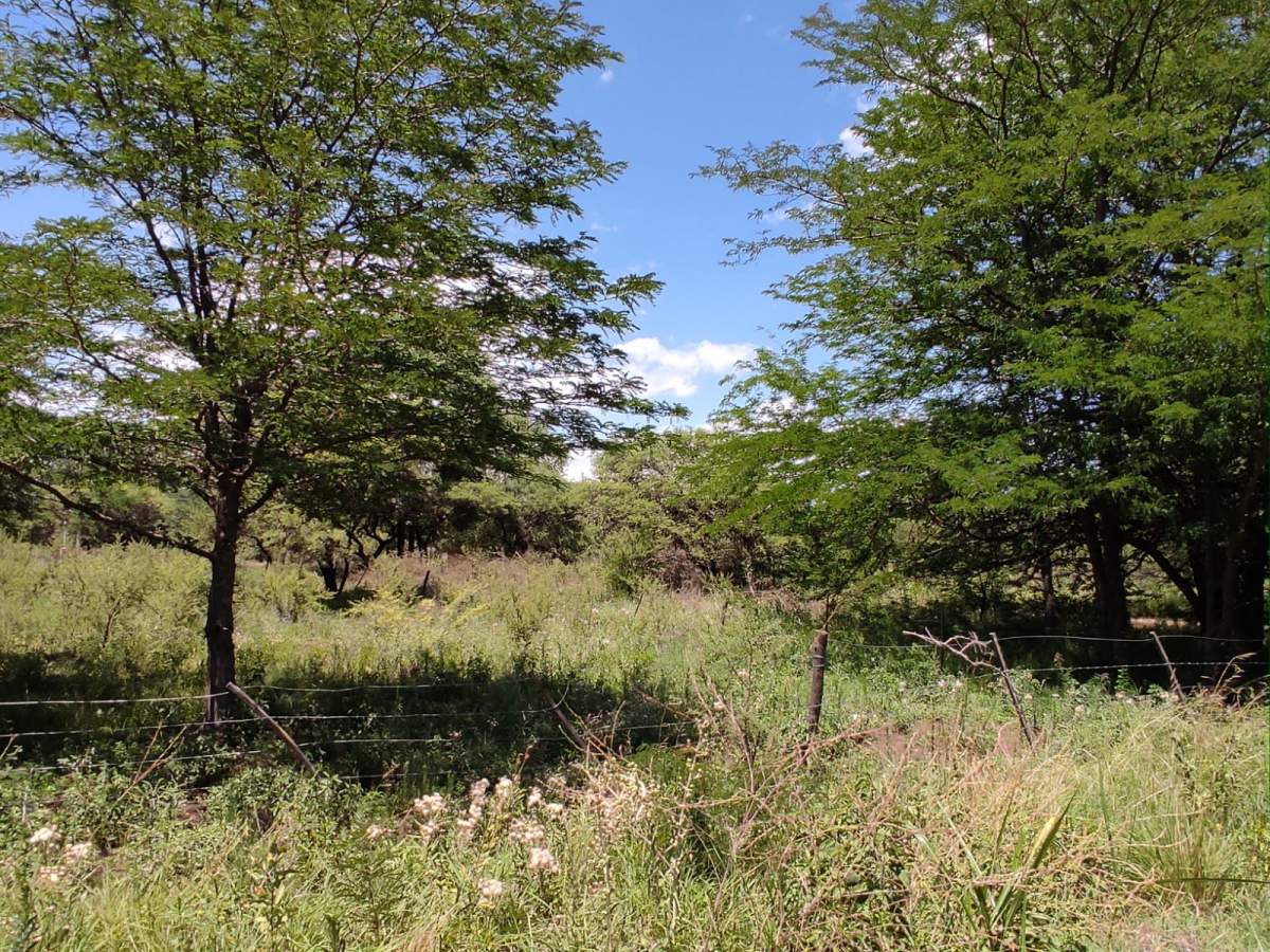 ¡ESCRITURA INMEDIATA! GRAN LOTE DE 1031M EN ESQUINA  A PASOS del RÍO LOS SAUCES