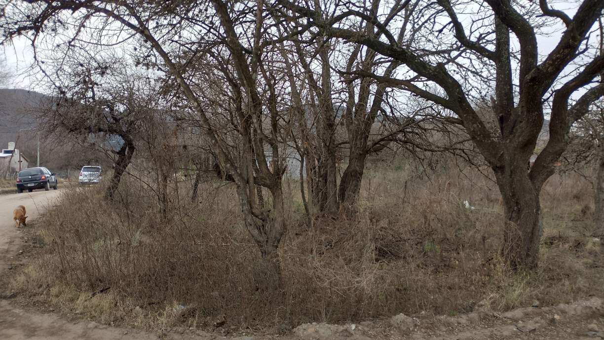 ¡ESCRITURA INMEDIATA! GRAN LOTE DE 1031M EN ESQUINA  A PASOS del RÍO LOS SAUCES