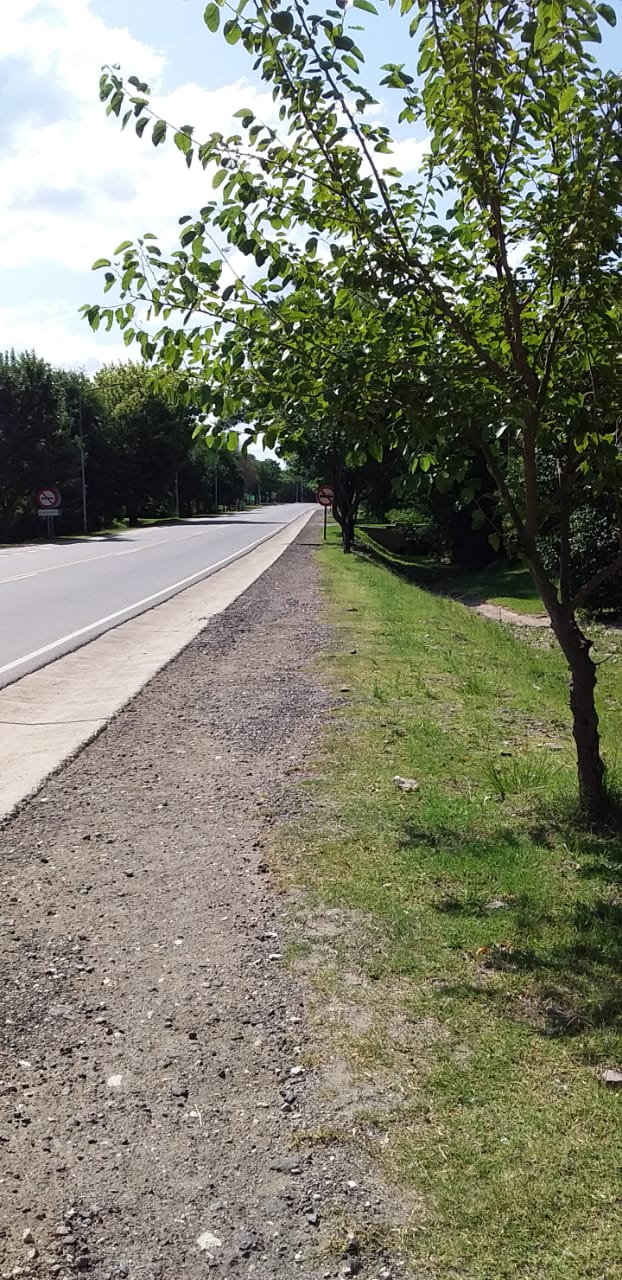 VENDO LOTES EN AGUA DE ORO-ESCRITURA