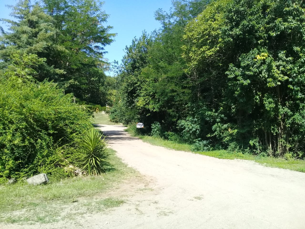 VENDO LOTES EN AGUA DE ORO-ESCRITURA