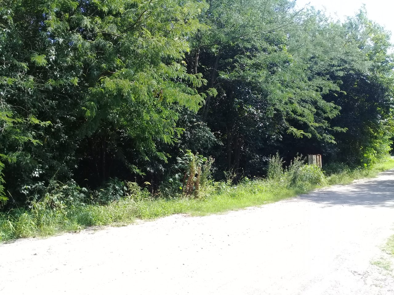 VENDO LOTES EN AGUA DE ORO-ESCRITURA