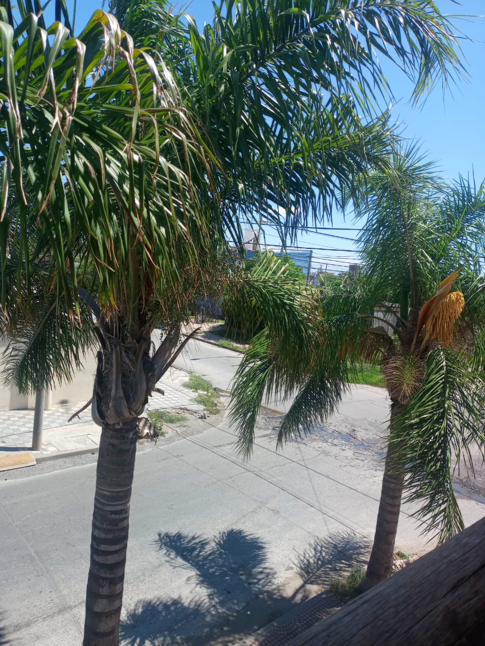 VILLA AZALAIS - GUSTAVO MARAMBIO 1316 - DEPTO EN ALQUILER