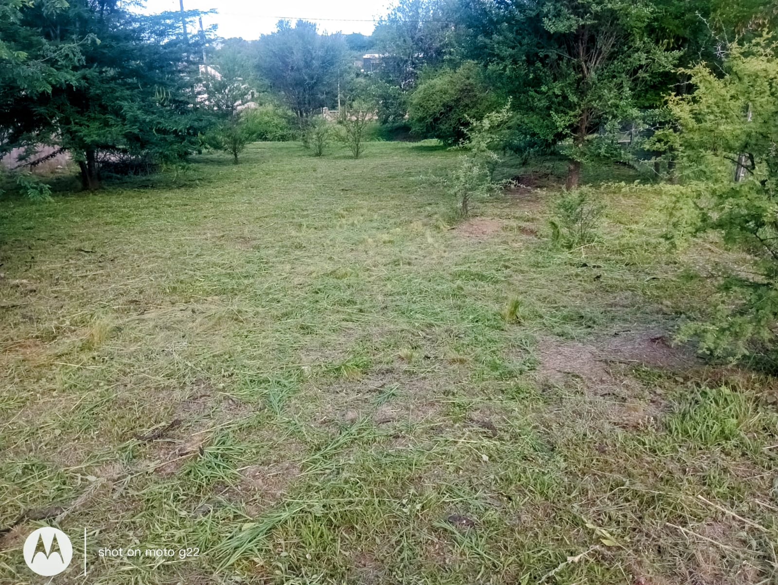 LOTE EN VENTA. LOMAS DEL REY. MAYU SUMAJ