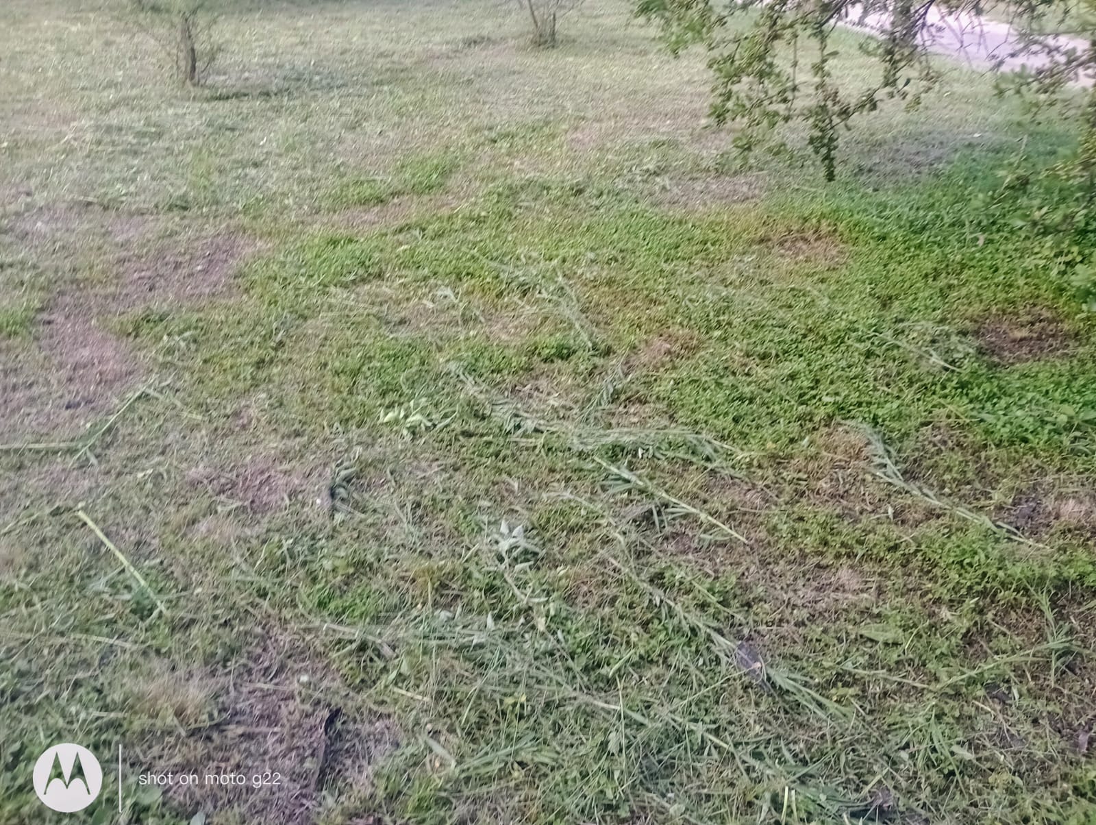 LOTE EN VENTA. LOMAS DEL REY. MAYU SUMAJ