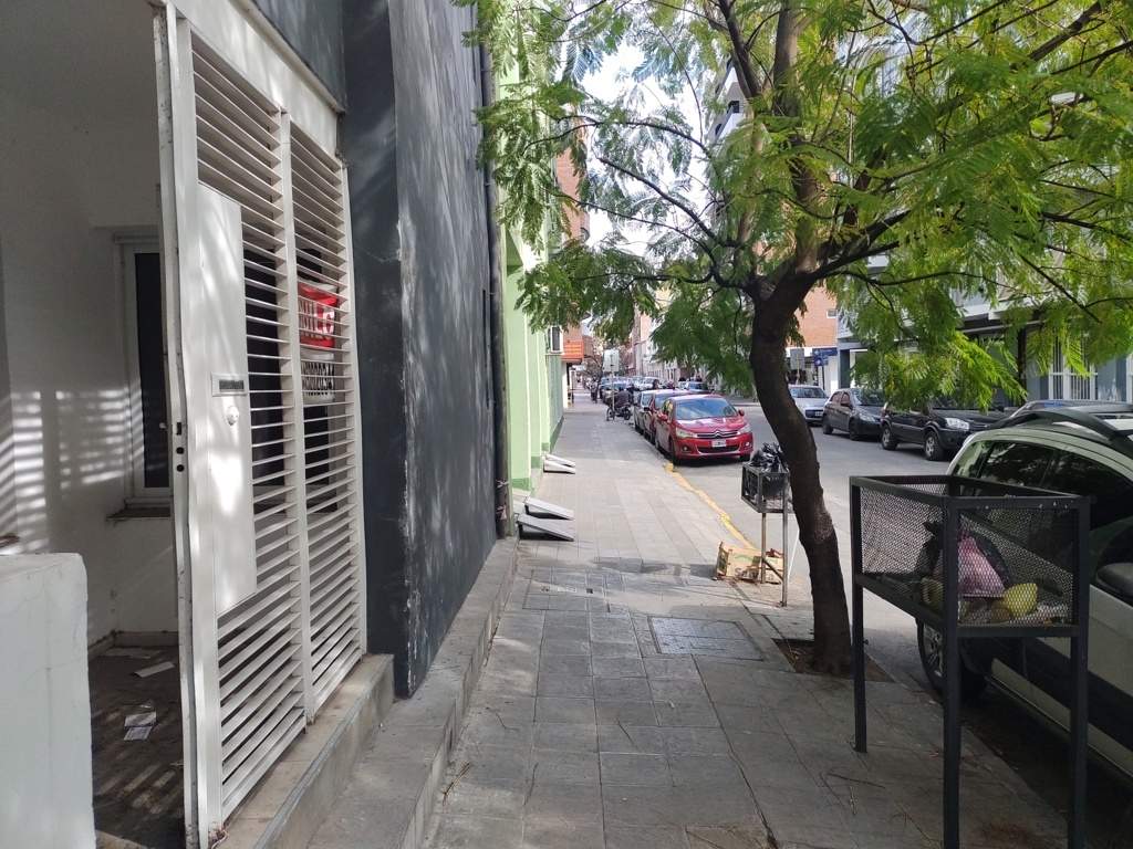 DEPARTAMENTO UBICADO EN CALLE CORONEL OLMEDO NRO. 442 PB A BARRIO CENTRO