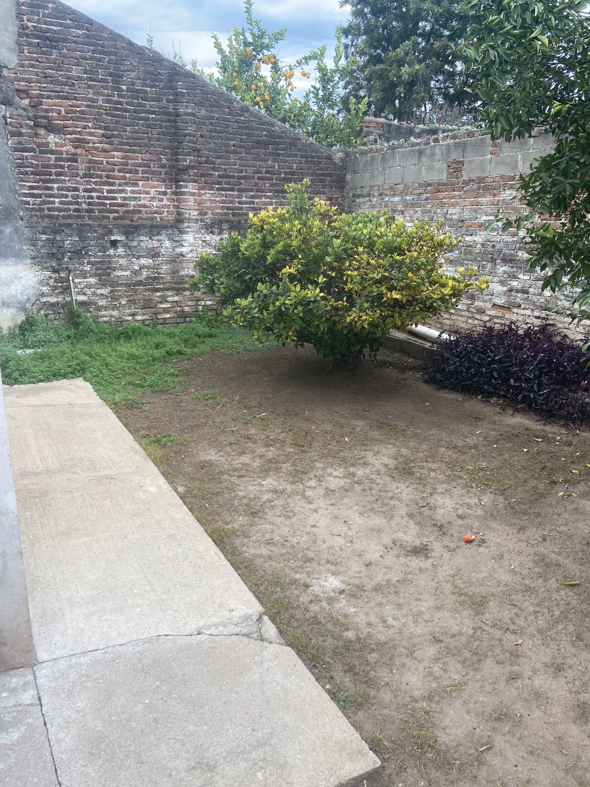 CASA DE 3 DORMITORIOS EN B BETANIA