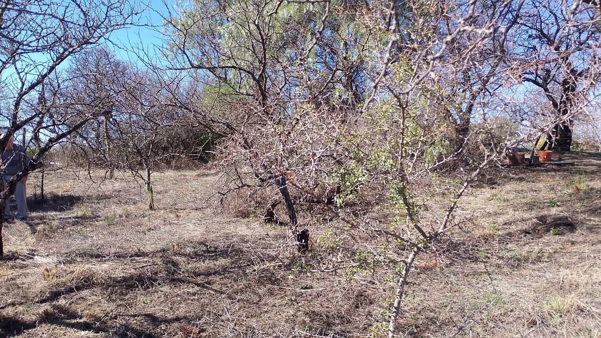 LOTE DE 850M2 STA-MONICA-ZONA LA VAQUITA