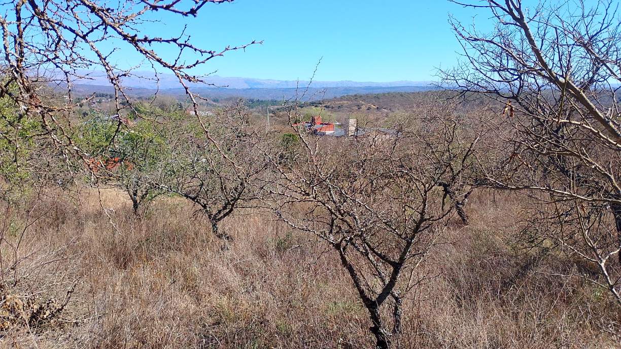 LOTE DE 850M2 STA-MONICA-ZONA LA VAQUITA