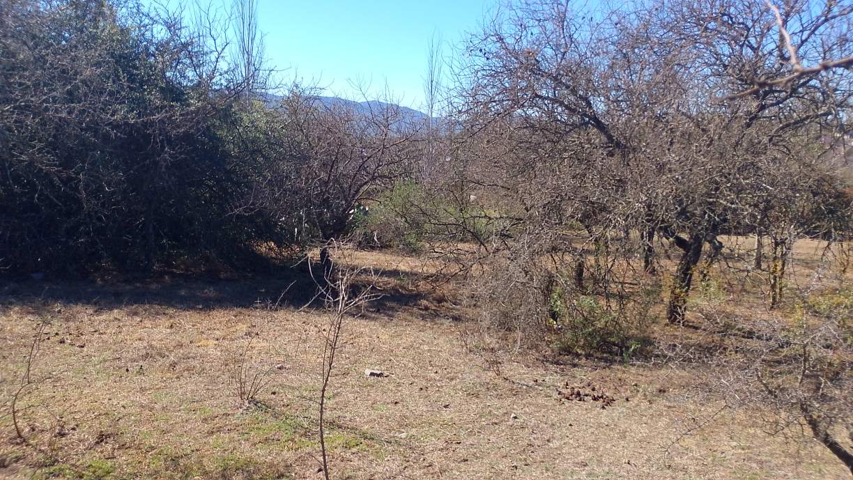 LOTE DE 750M2-STA.MÓNICA