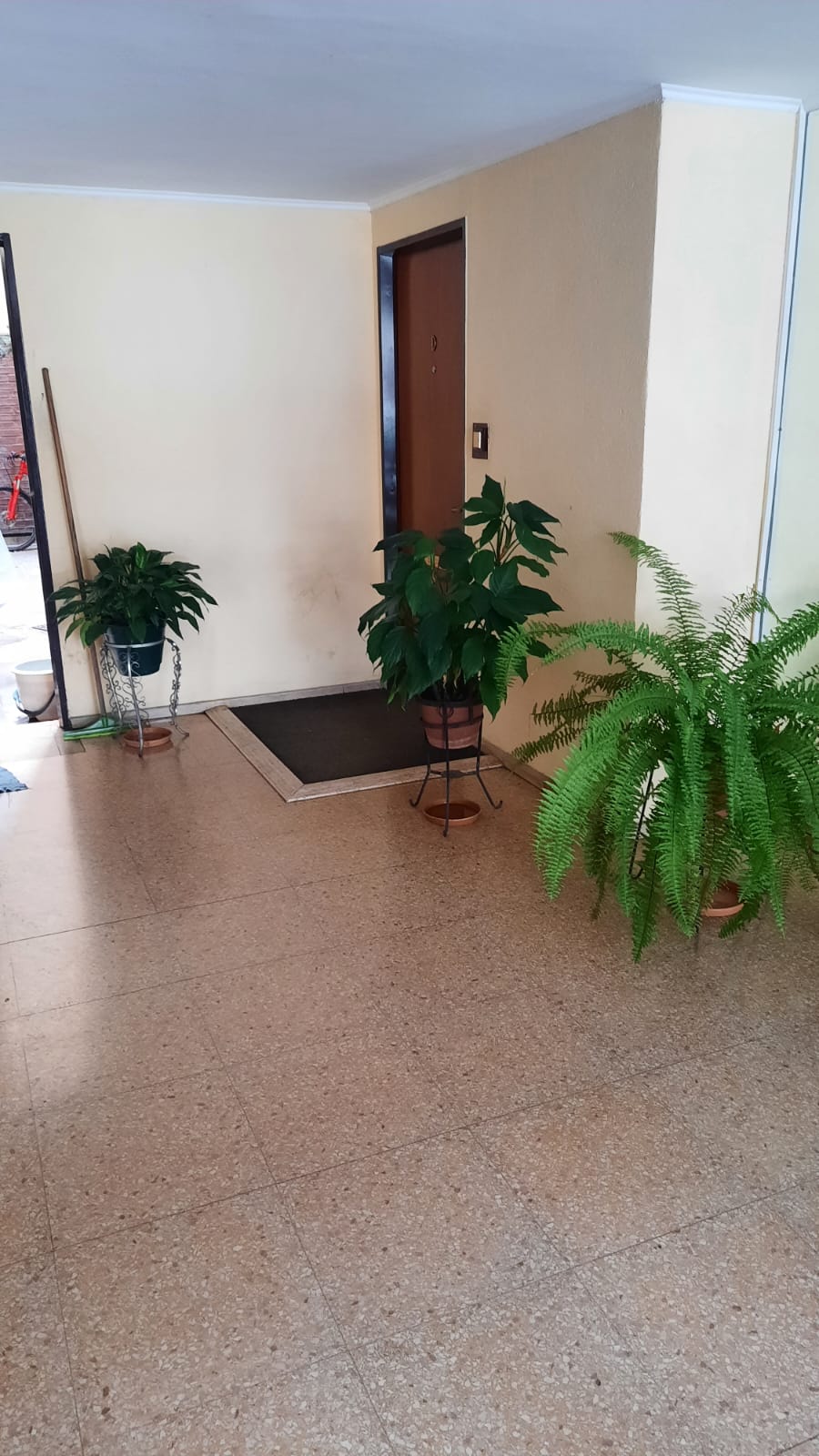 Venta, Departamento Planta baja, Centro.