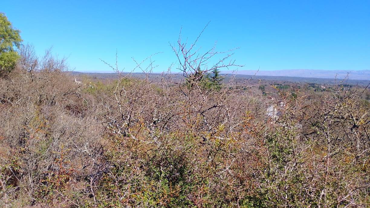 Esquina Premium 875 m - Vistas Panorámicas  Santa Mónica