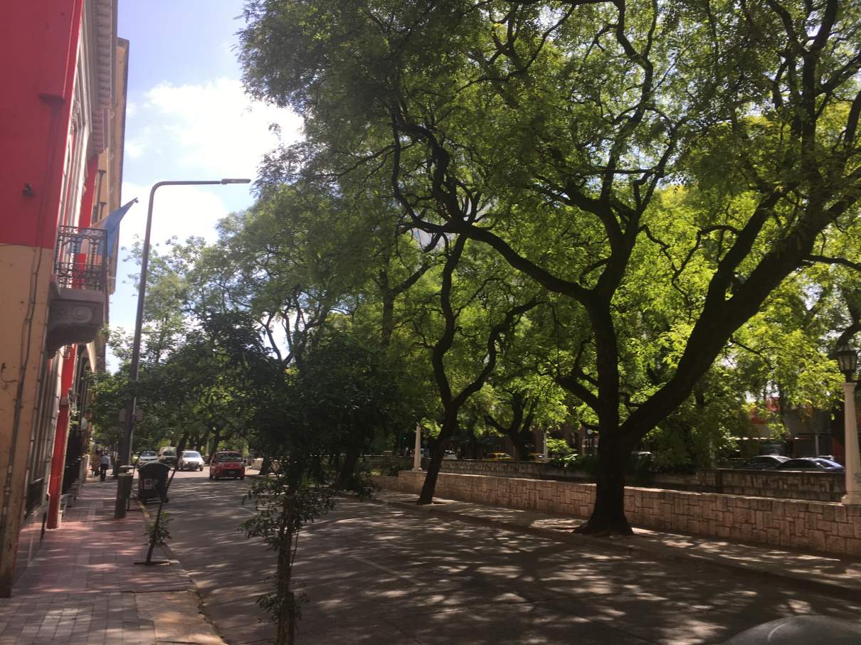 Depto 2 dormitorios  Colón y Cañada