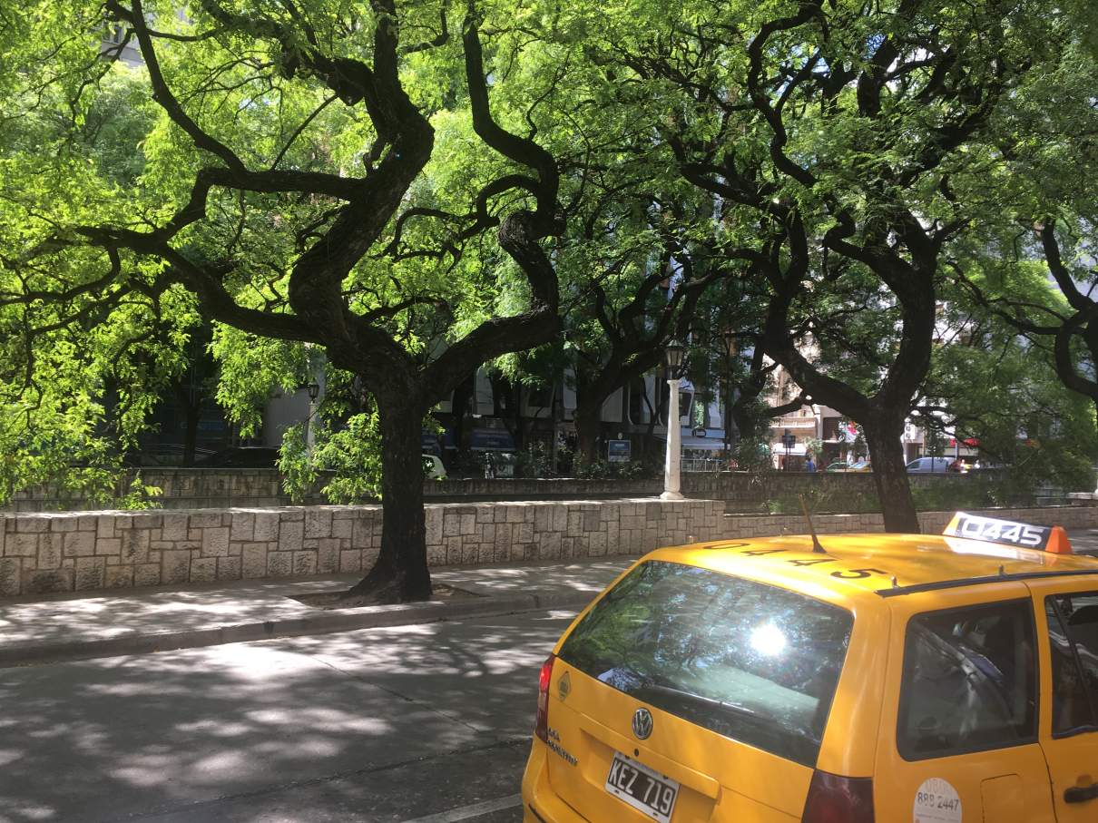 Depto 2 dormitorios  Colón y Cañada