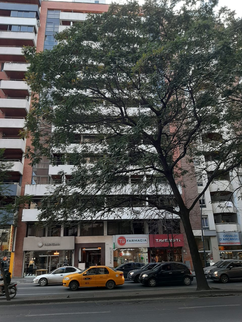 ALQUILER DPTO 1 DORM - EN LA MEJOR ZONA DE NVA CBA