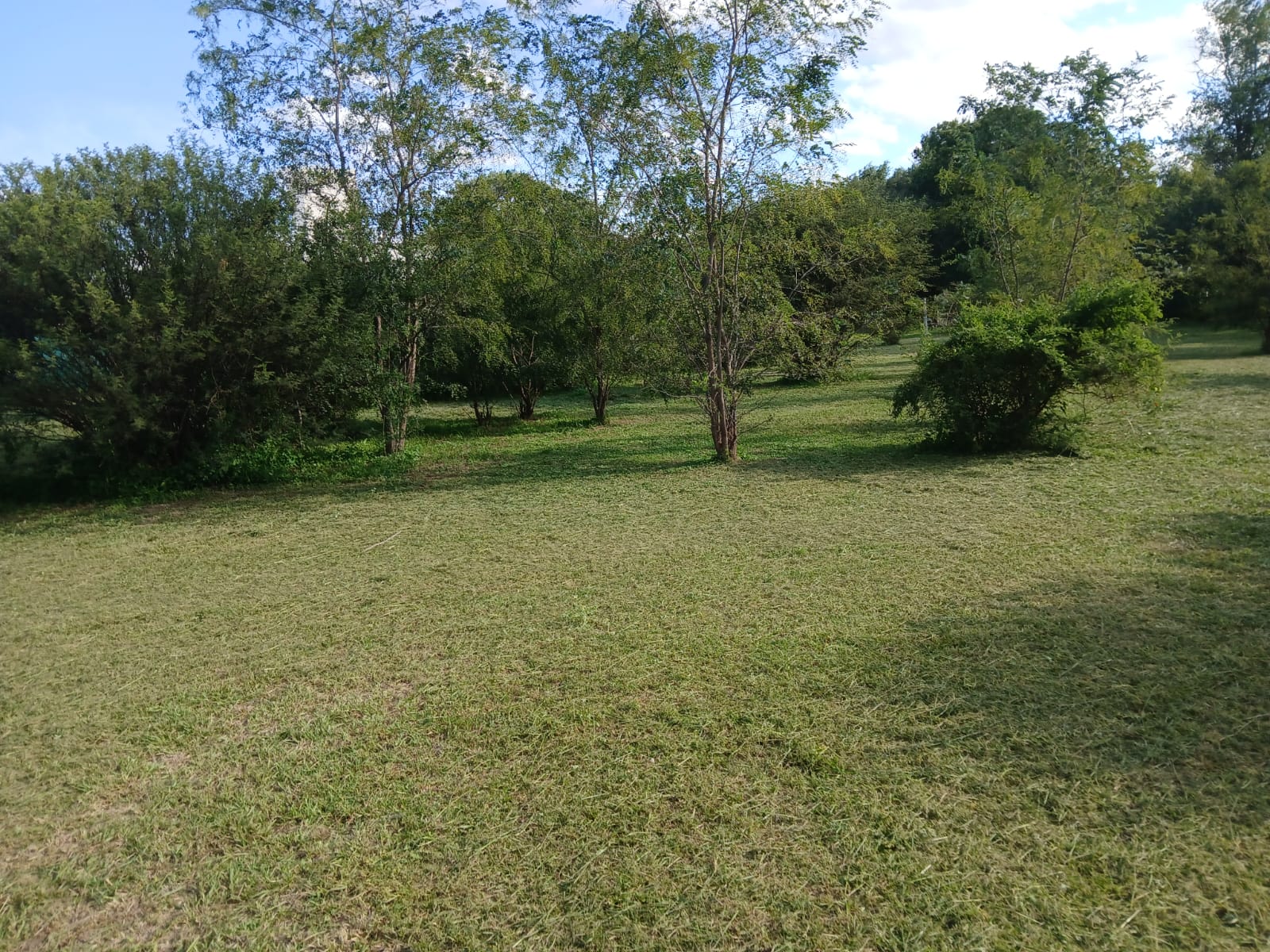 VENTA GRAN LOTE QUINTA STA ISABEL
