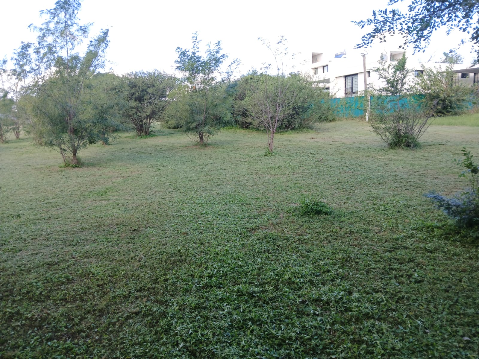 VENTA GRAN LOTE QUINTA STA ISABEL