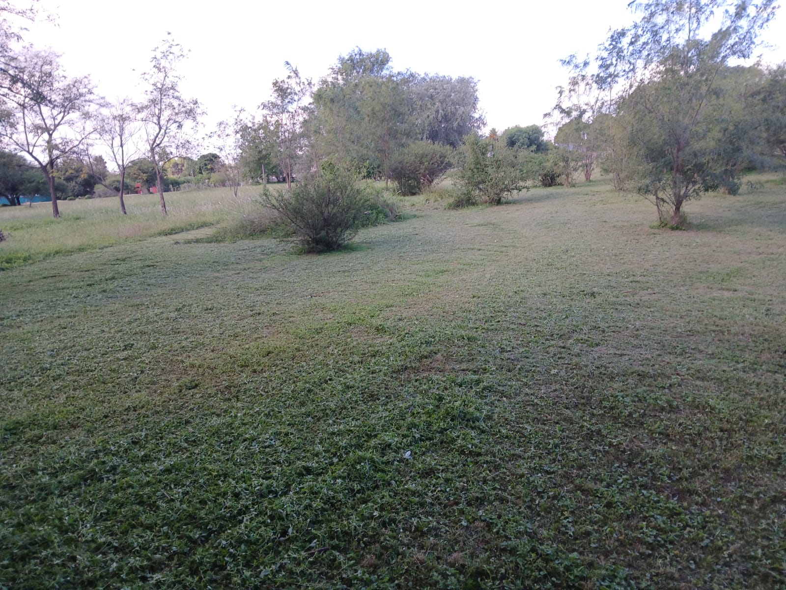 VENTA GRAN LOTE QUINTA STA ISABEL