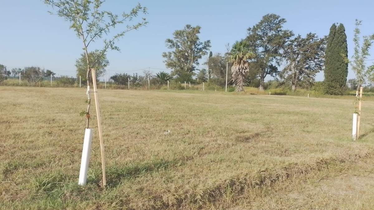 VENTA DE LOTE EN  B LA FLORIDA-LEONES